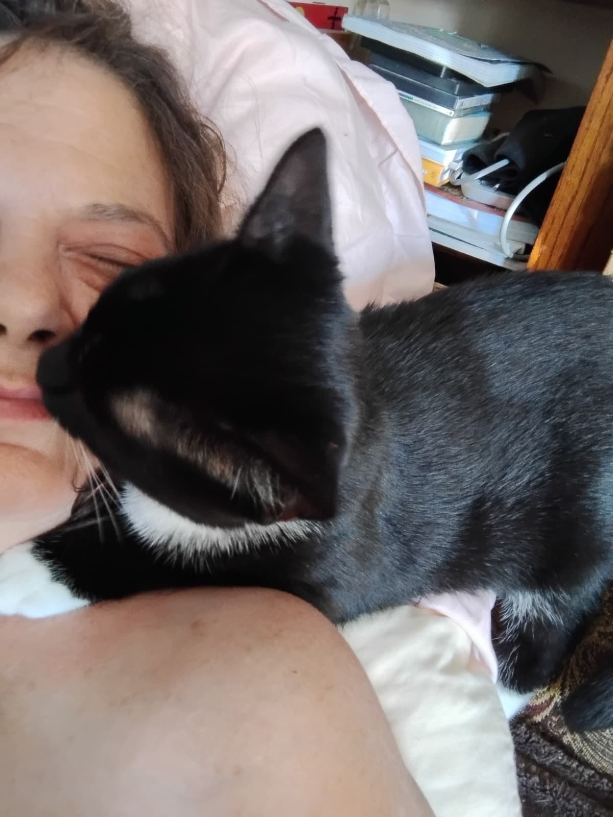 AlisonNeedsCostlyDentalWork