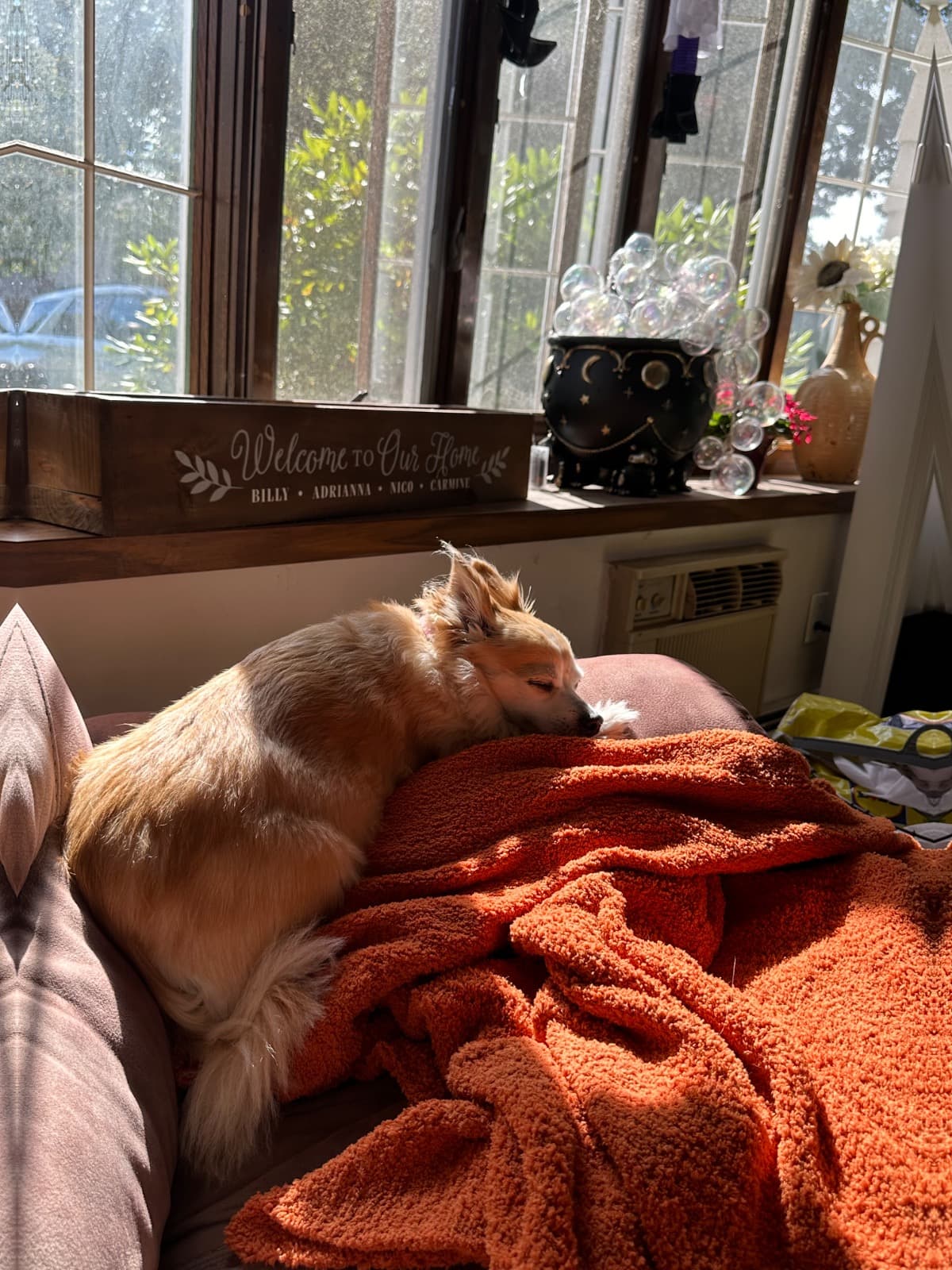 Helpbella
