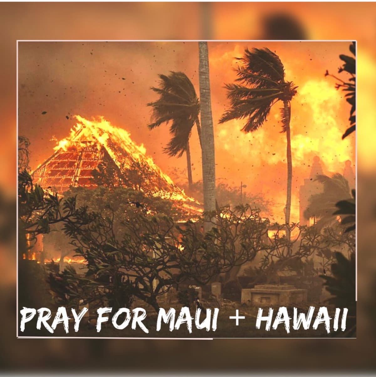 MauiDtringFundraiser