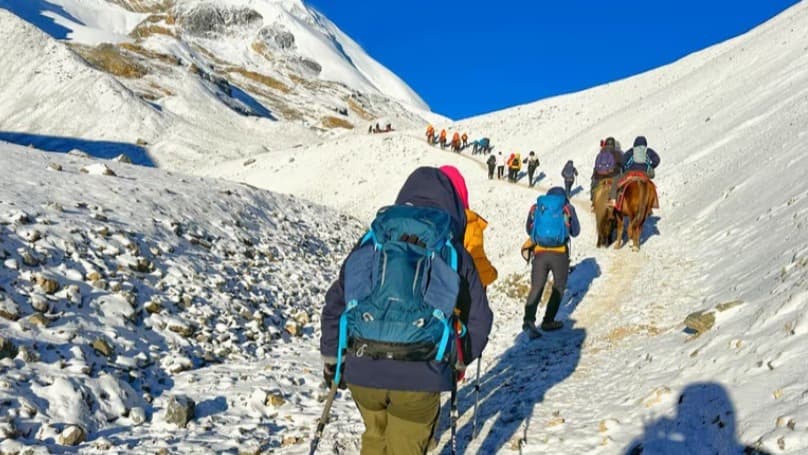 Langtang Valley Trek Vs Annapurna Circuit Trek: