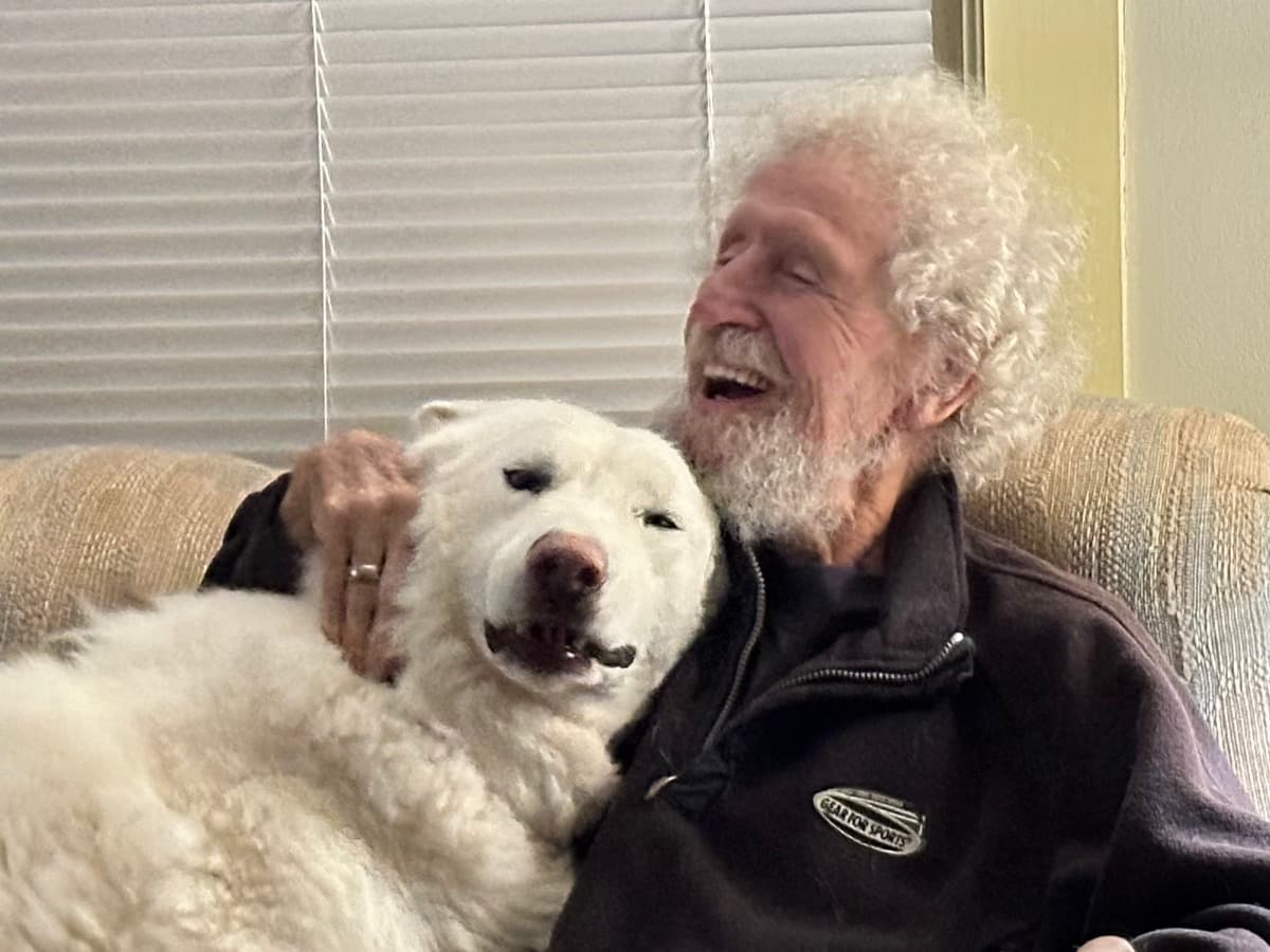 HelpTheBayliffsWithVetBill