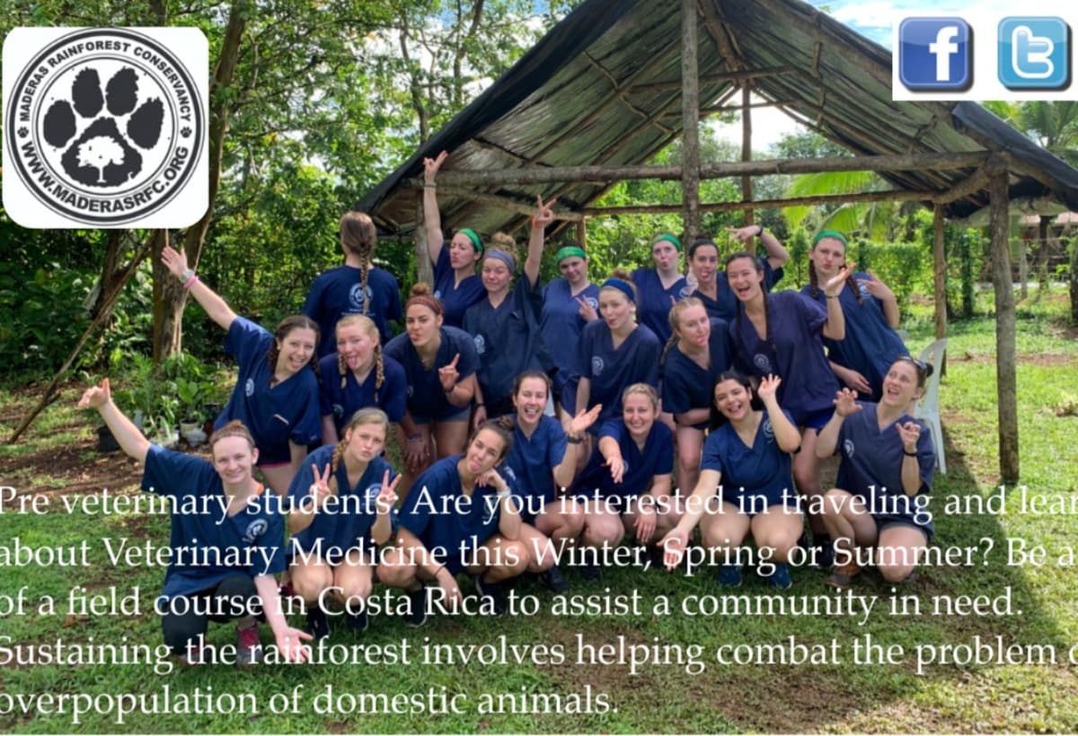 MaderasRainforestVetMission