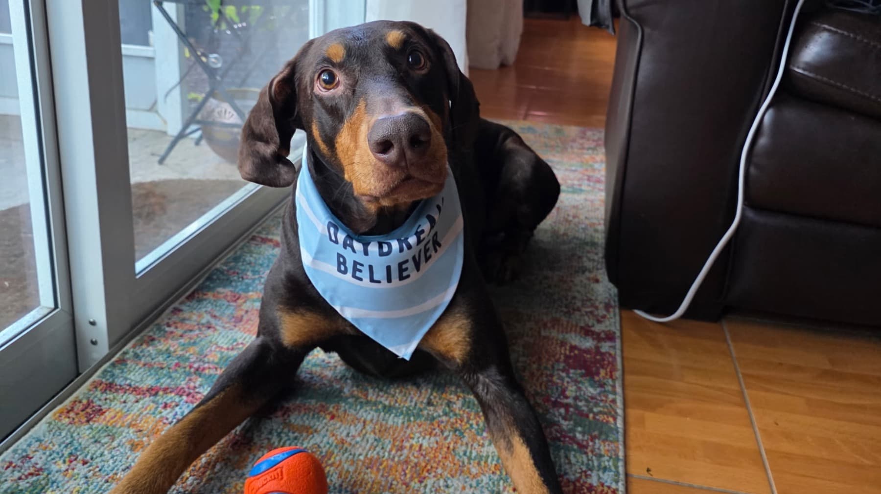 LifeSavingSurgeryForAjax