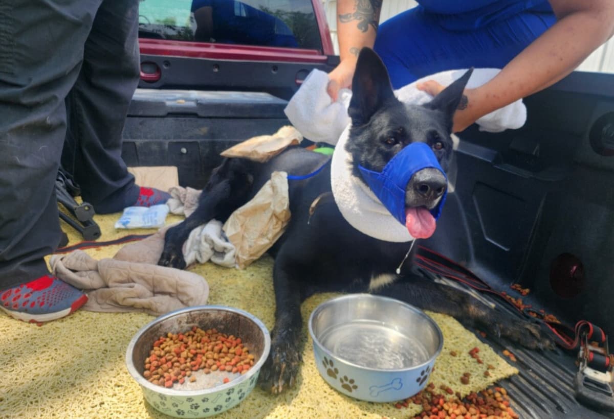 UrgentSurgeryforBrokenArm