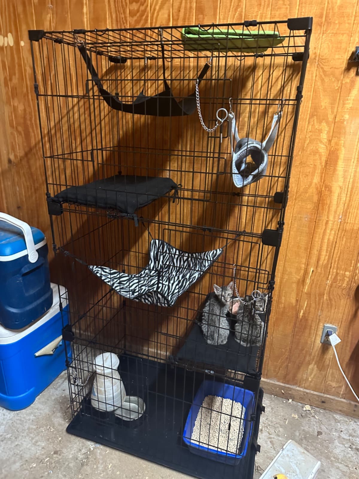 AnimalMedicalAndFeedFund