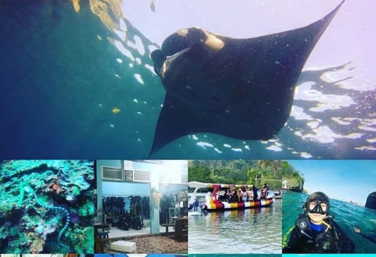 IndoDiversRestorationPlan