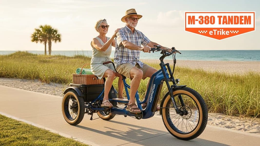 Are Tandem ETrikes Better Than Tandem EBikes?