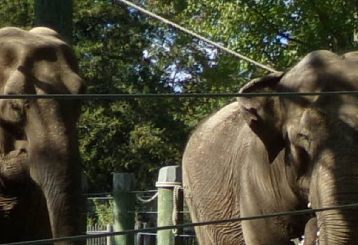 ConsultantDepositionCosts