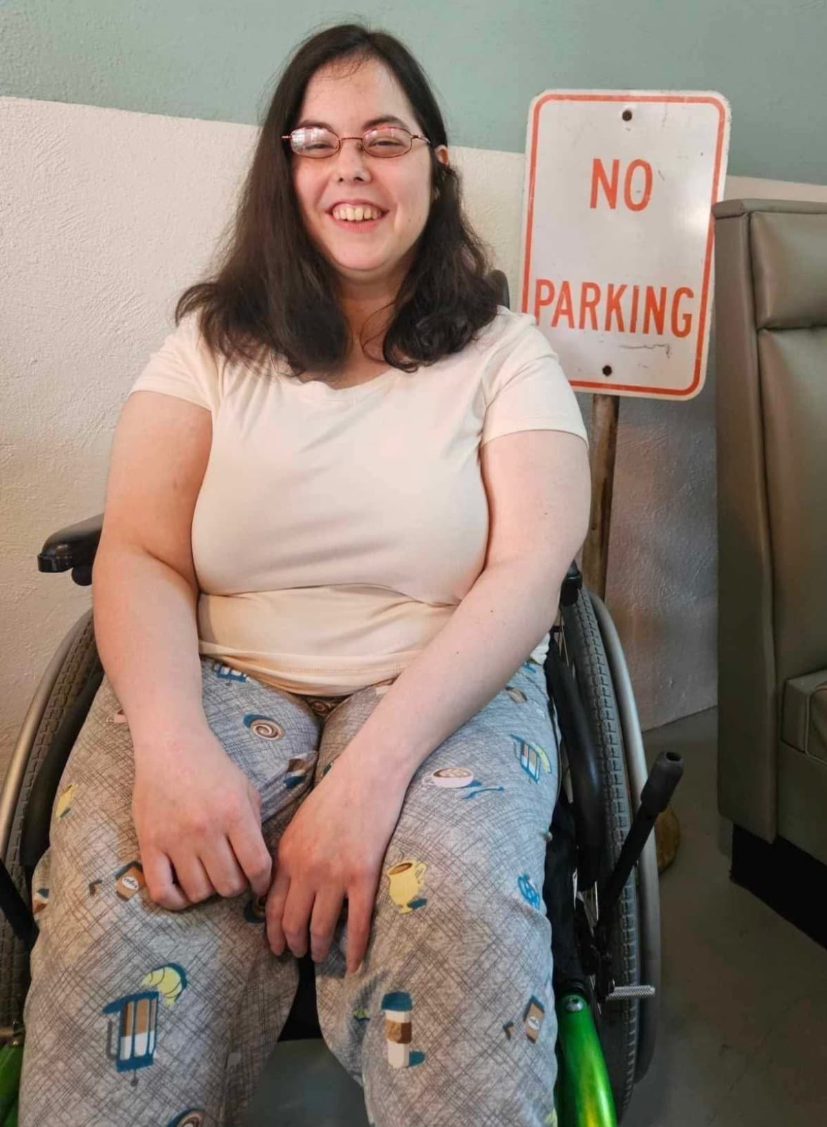 HandicapAccessibleVehicle