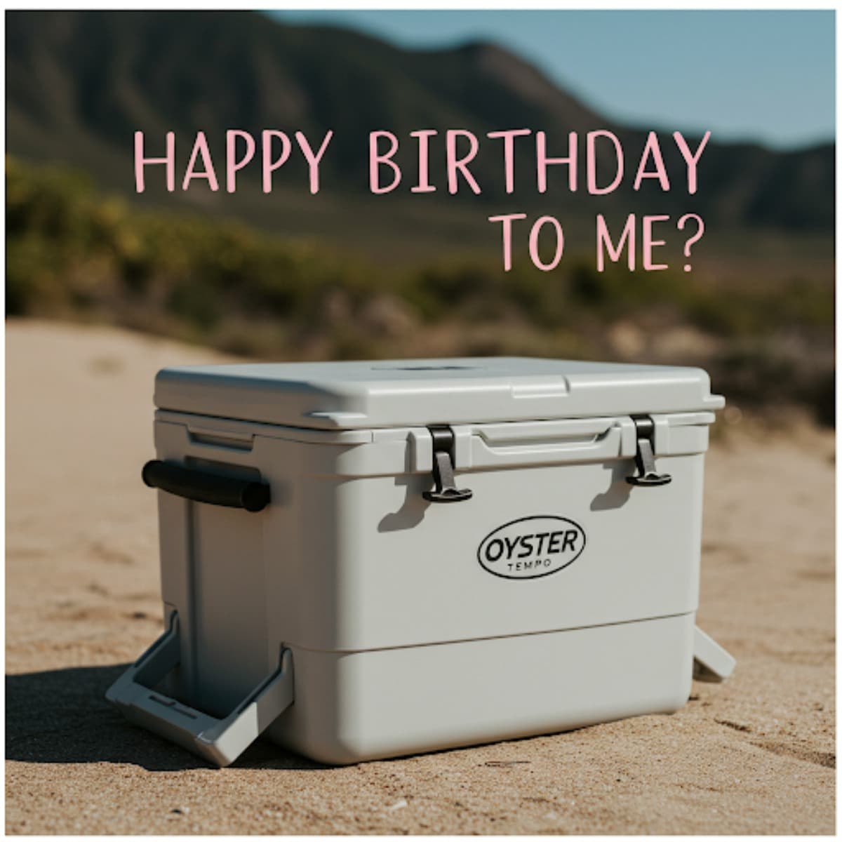 BirthdayGiftCooler
