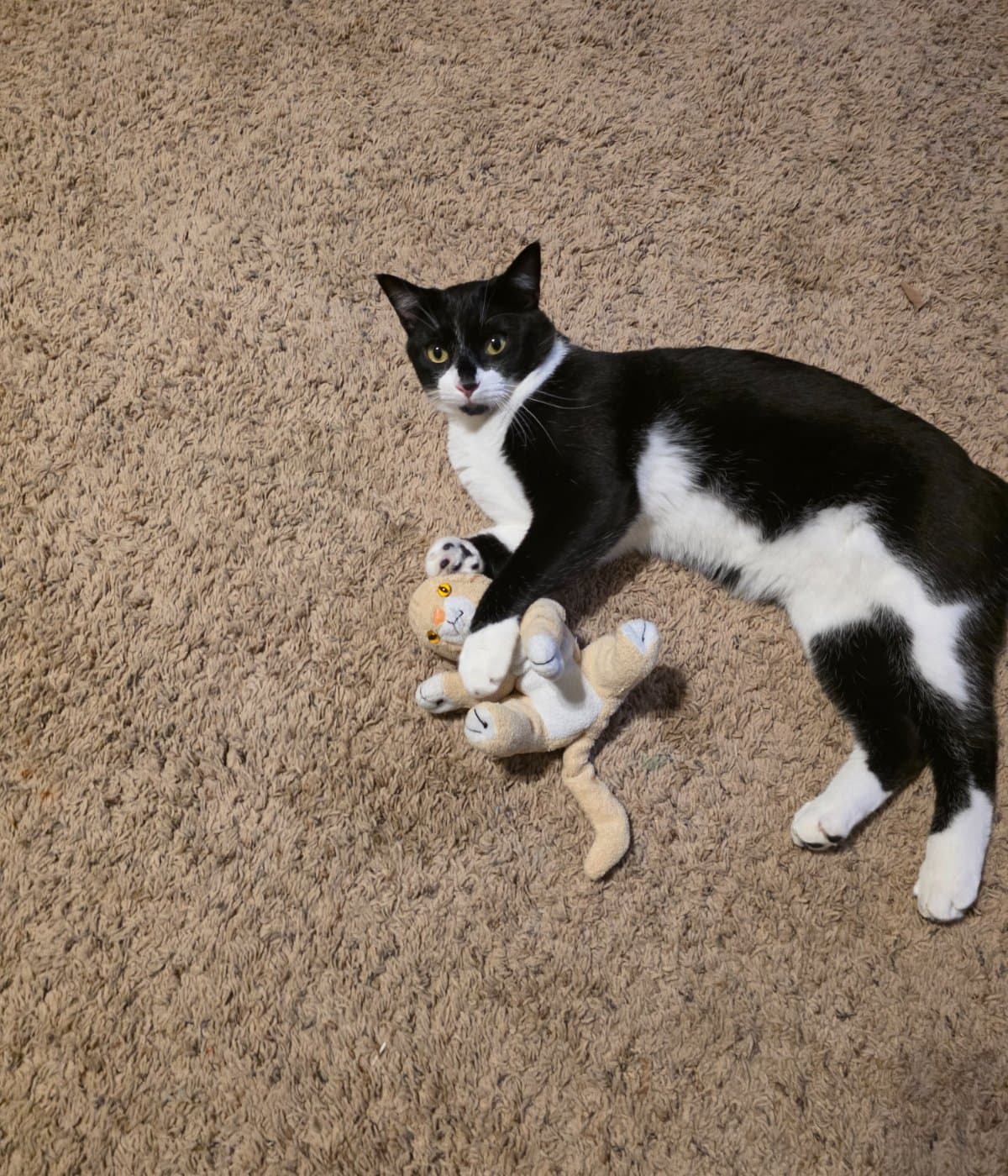 Help Our Family Secure A Safe Home