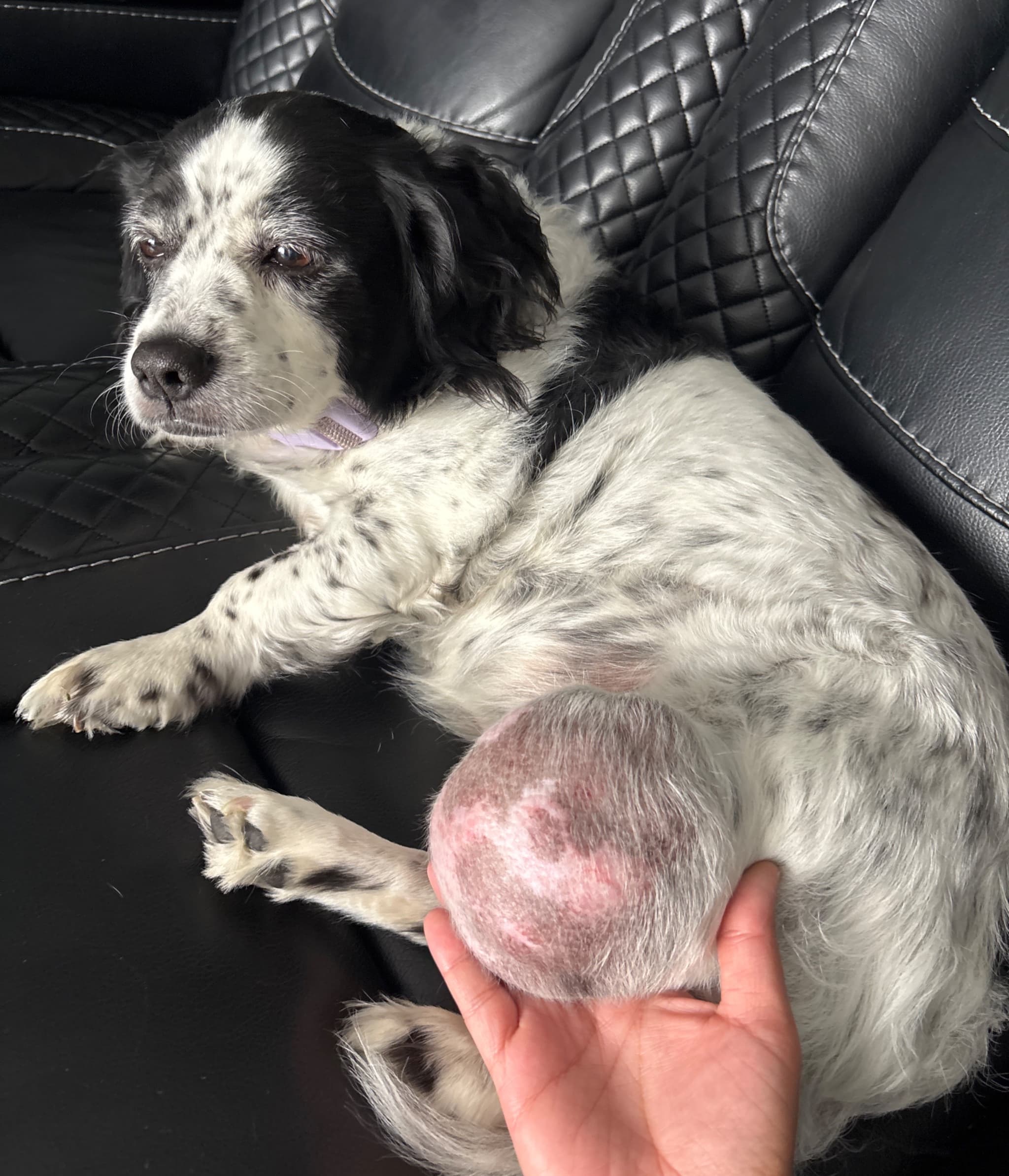 Help For Lunas Operation