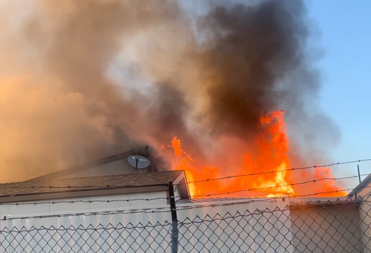 KITKATRANCHSURVIVORS