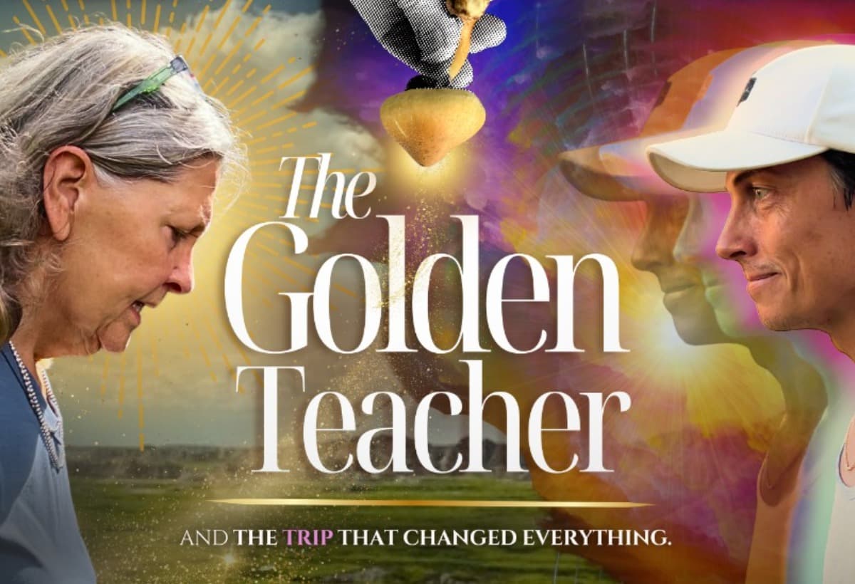 TheGoldenTeacher