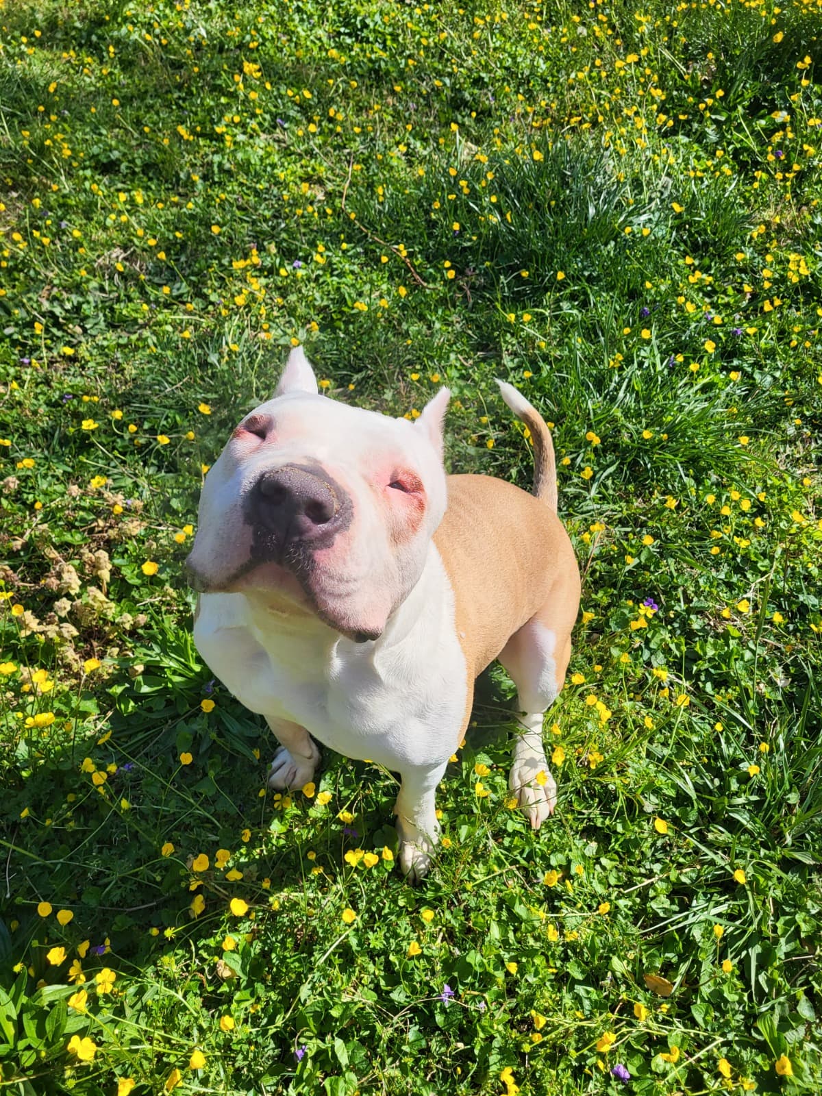 HelpAceGetEyeSurgery