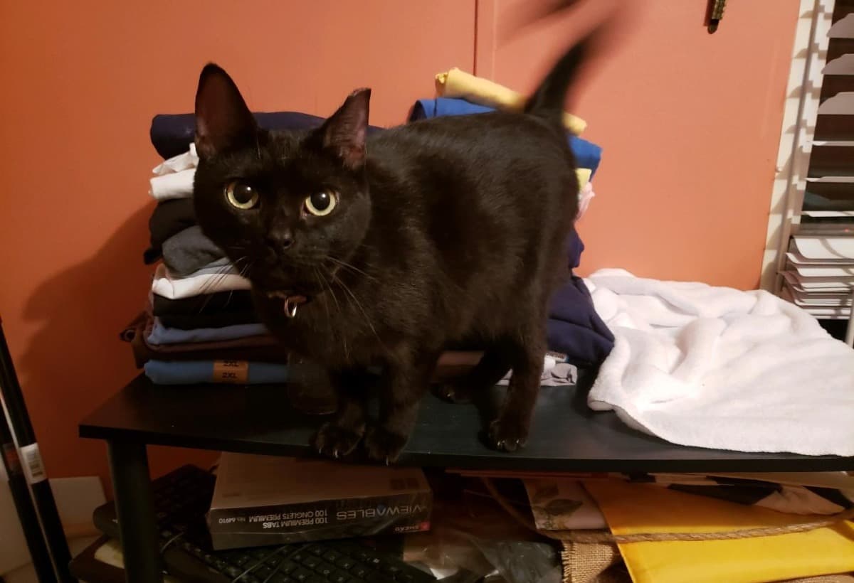 CarolinaNeedsANewSmile