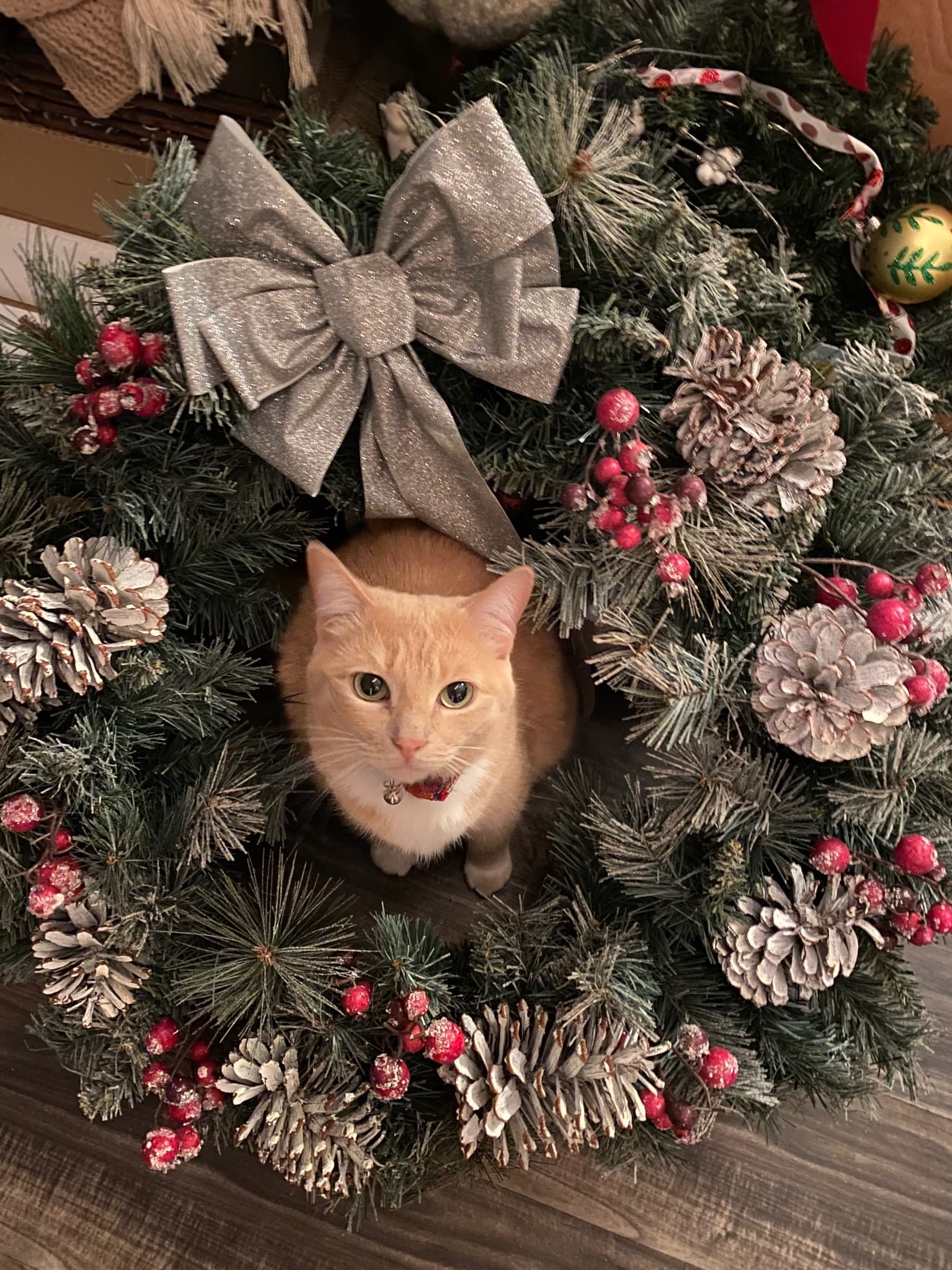 SupportPeachesSurgery