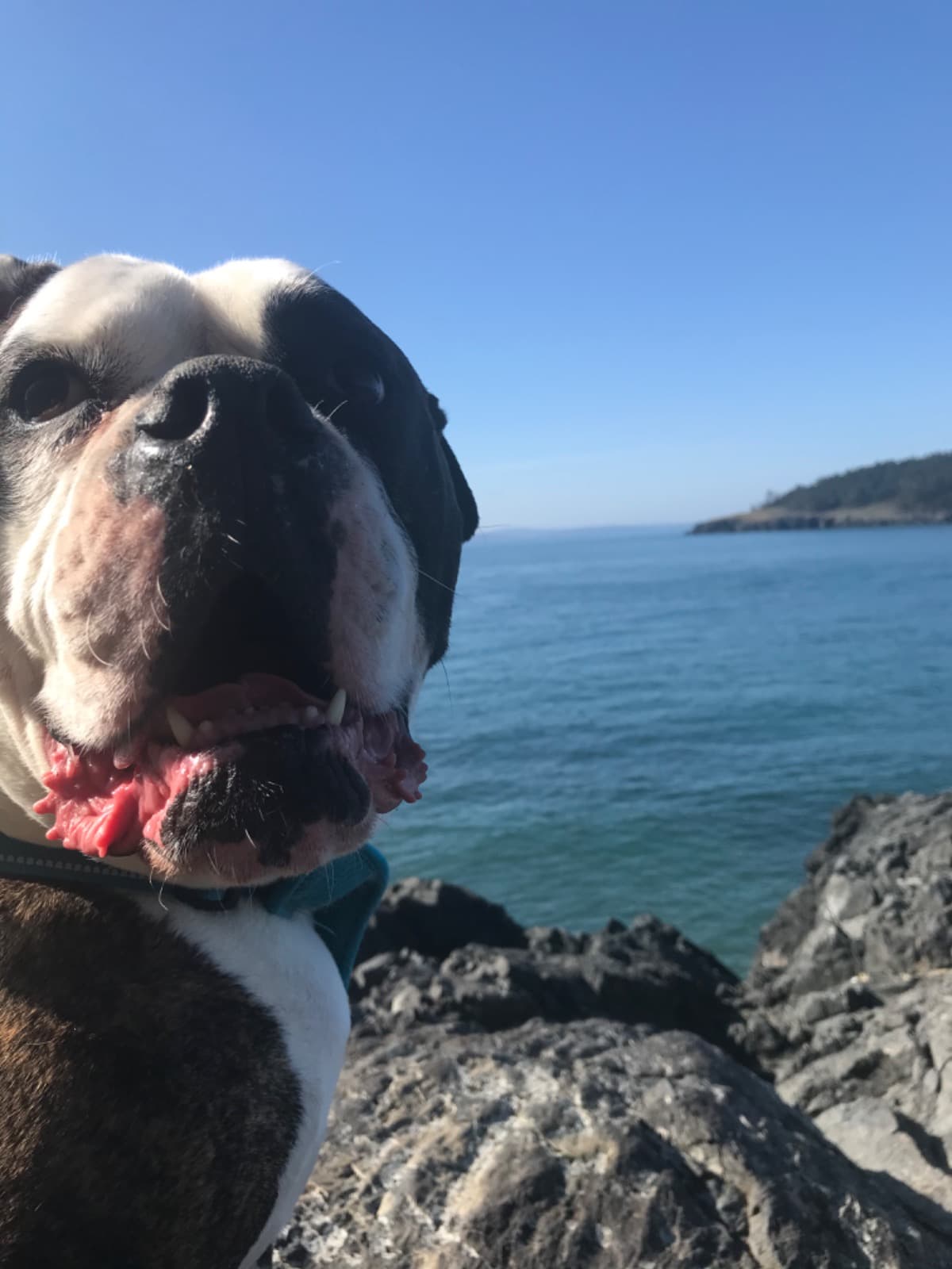 WeTooInHonorOfMilly