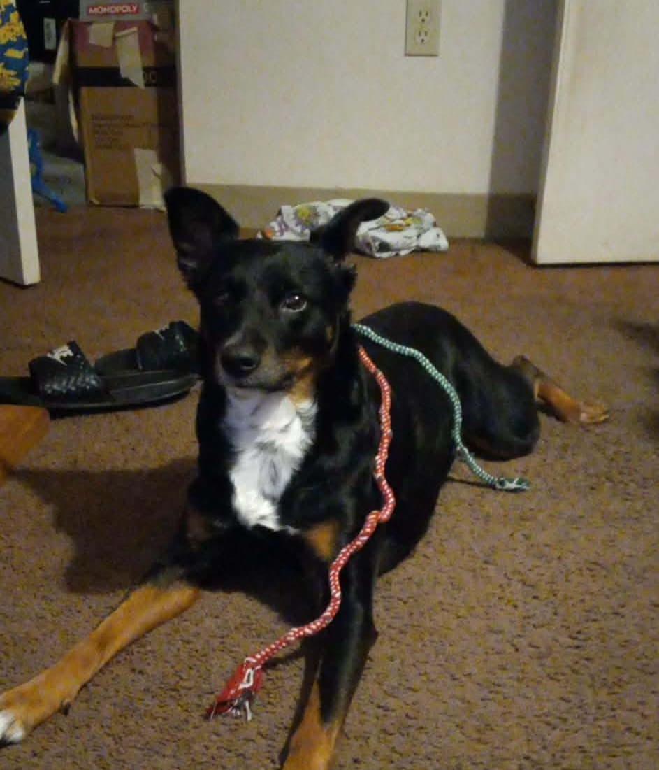 PleaseHelpMyDaisy