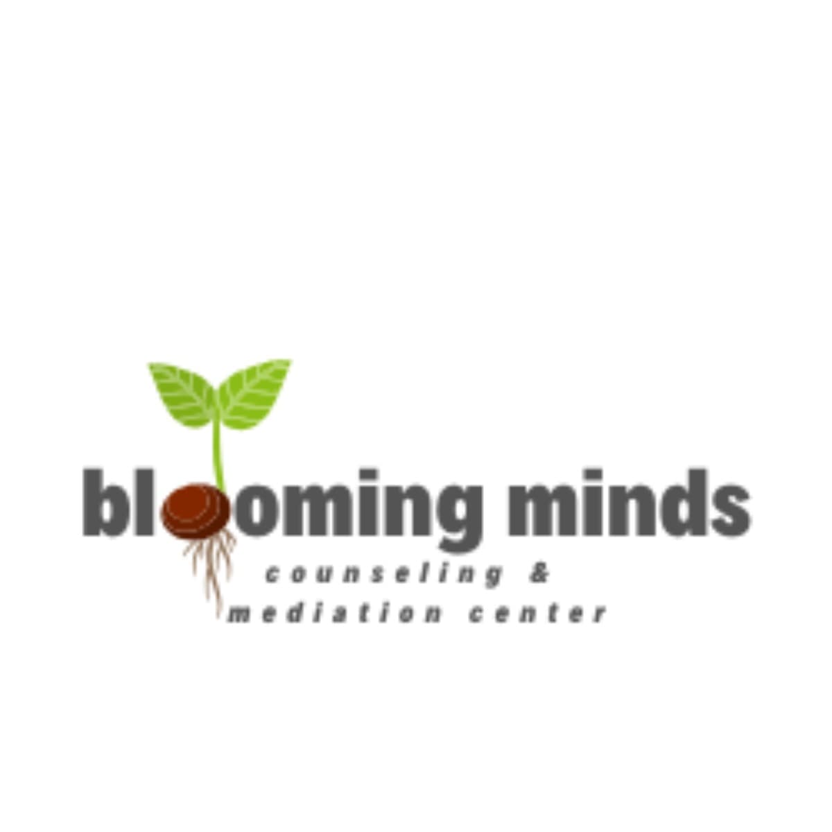 BloomingMindsCounseling