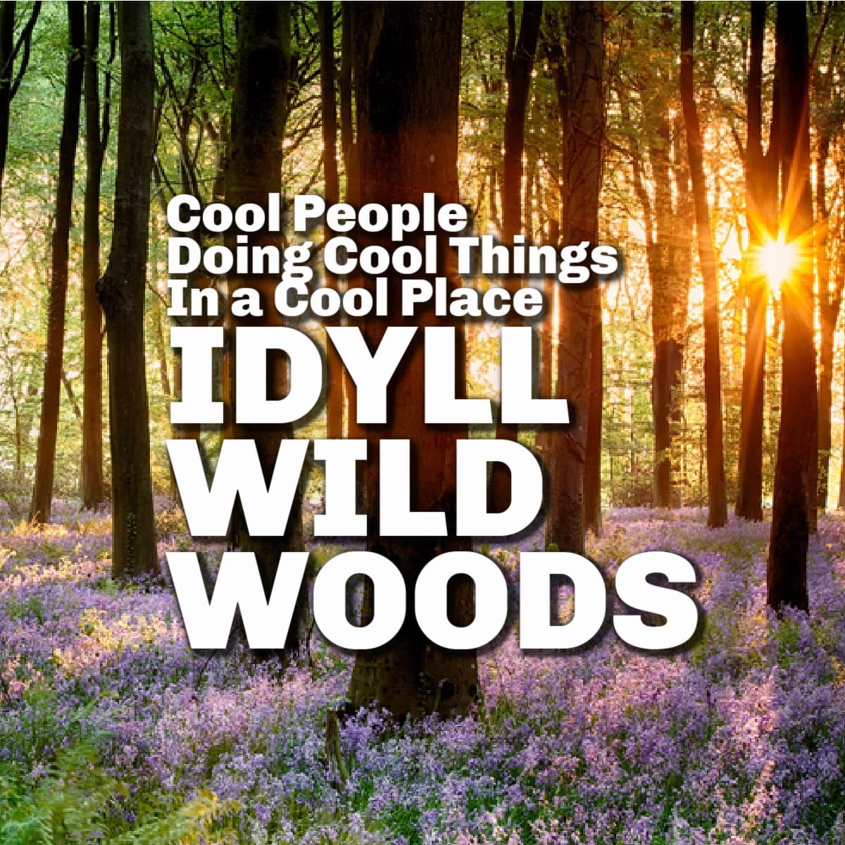 IdyllwildWoodsProject