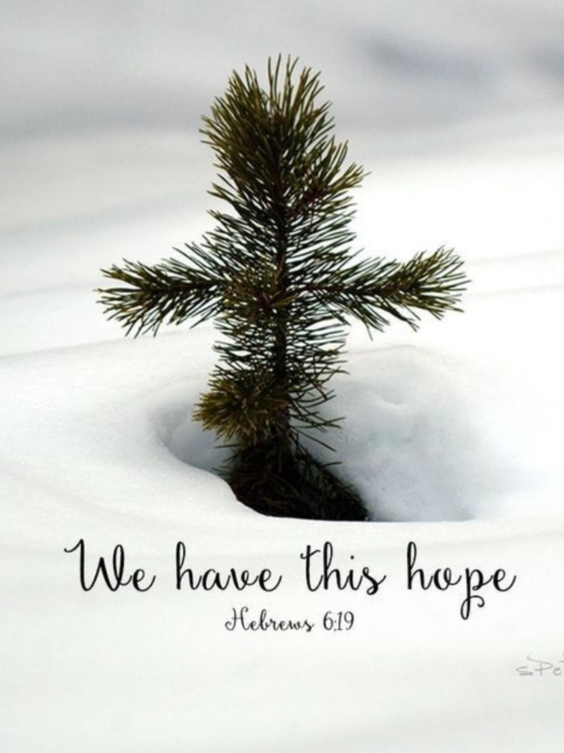 BlessAFamilyThisChristmas