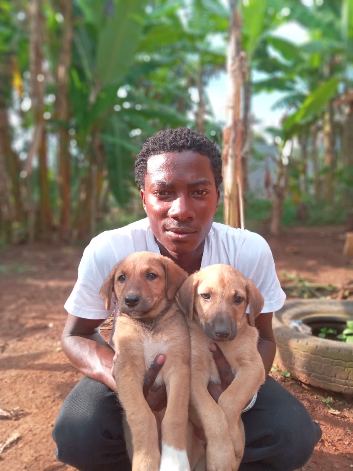 Bukenyacarlosdogscentre