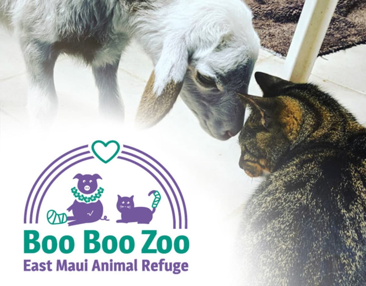 HelpMauiAnimals