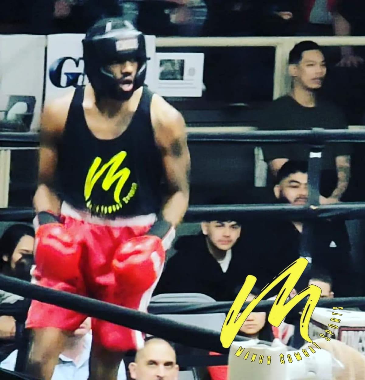 BoxerKameronPowell