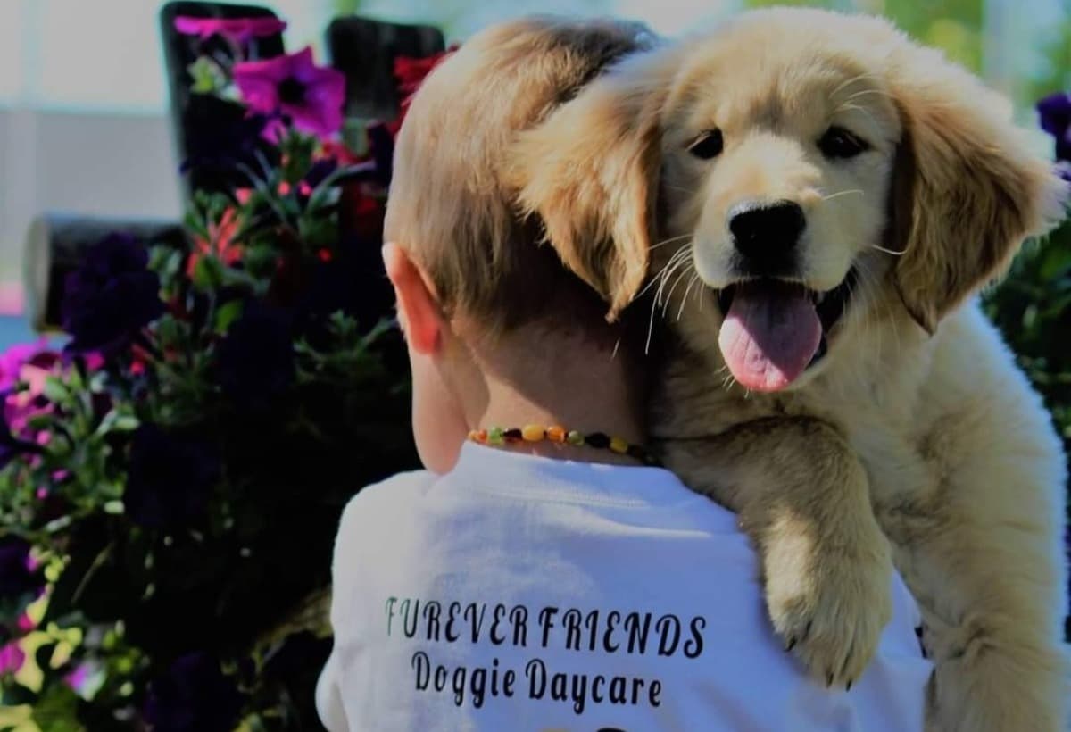 FureverFriendsDoggieDaycare