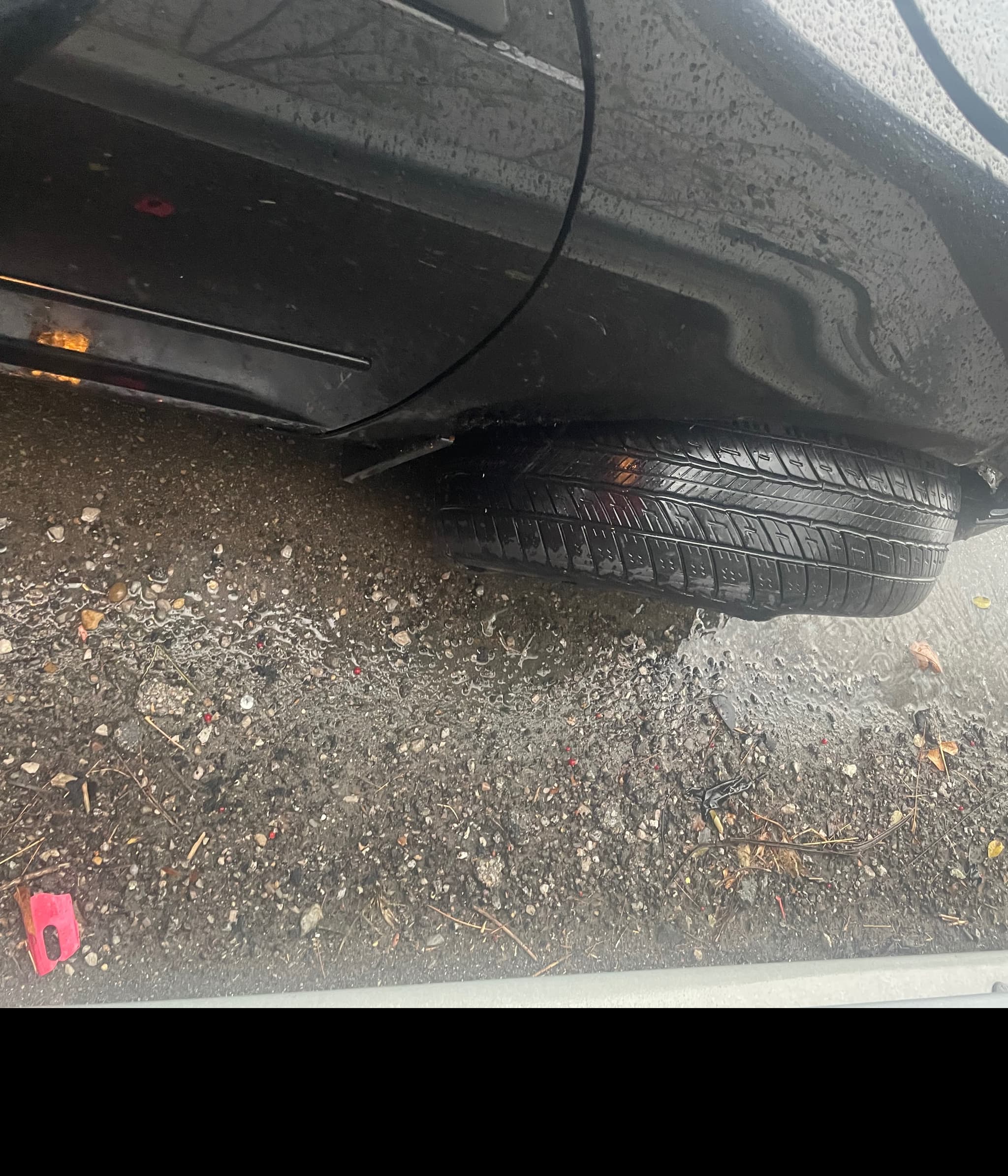 TrinityNewCar