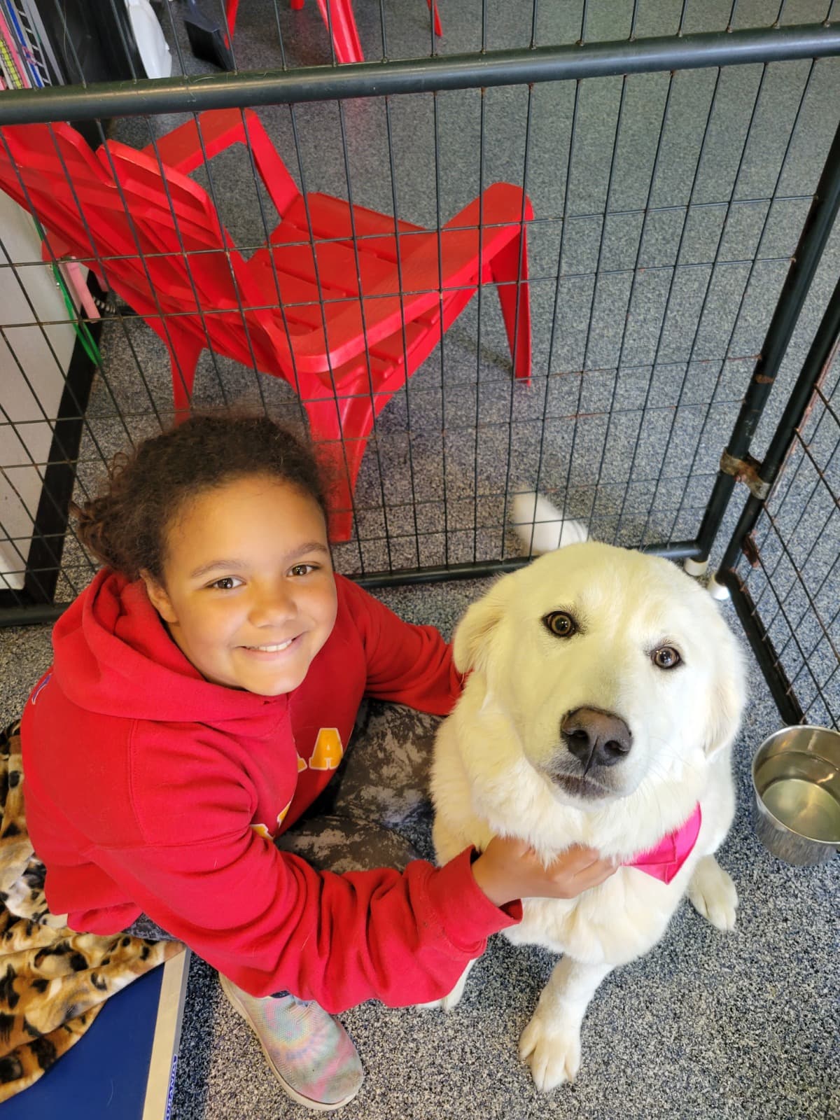 HelpNaveyahFeedTheDogsAtODHS