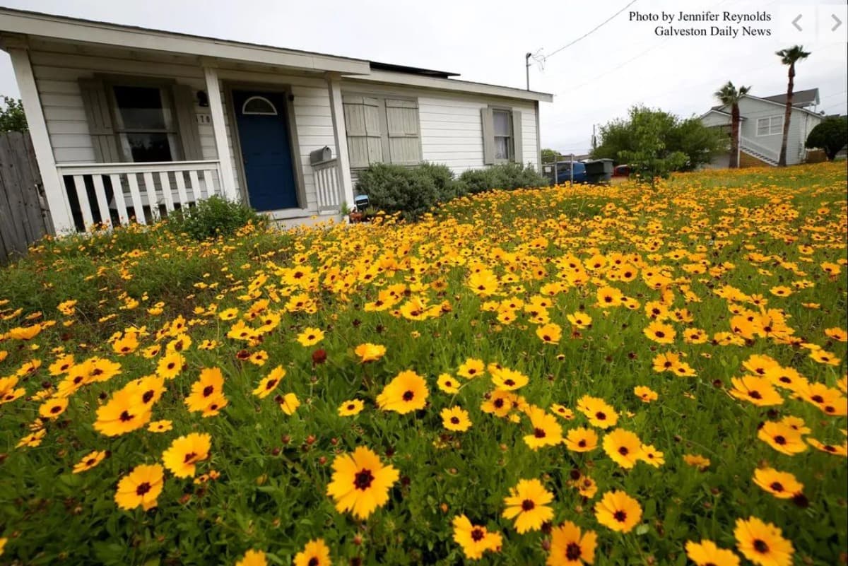 ProtectTexasPocketPrairies