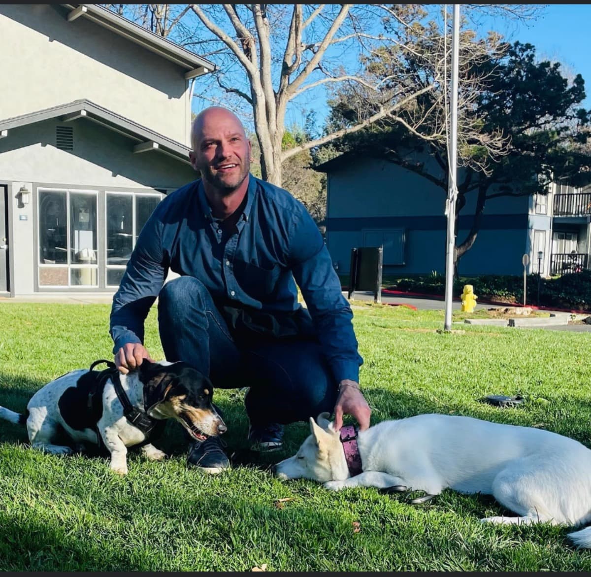 K9OPTIMABIRTHDAYFENCE