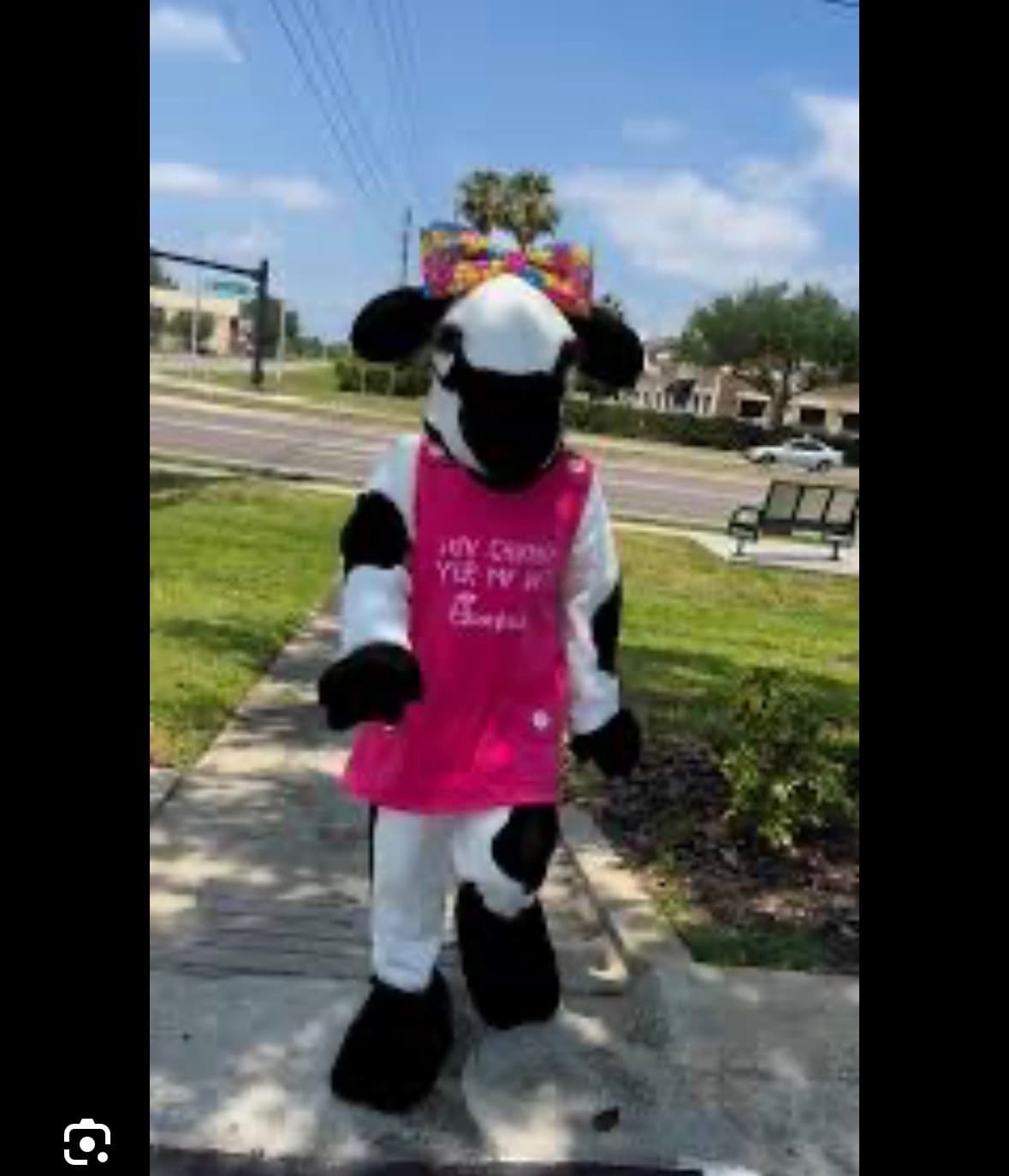 BABYCOW