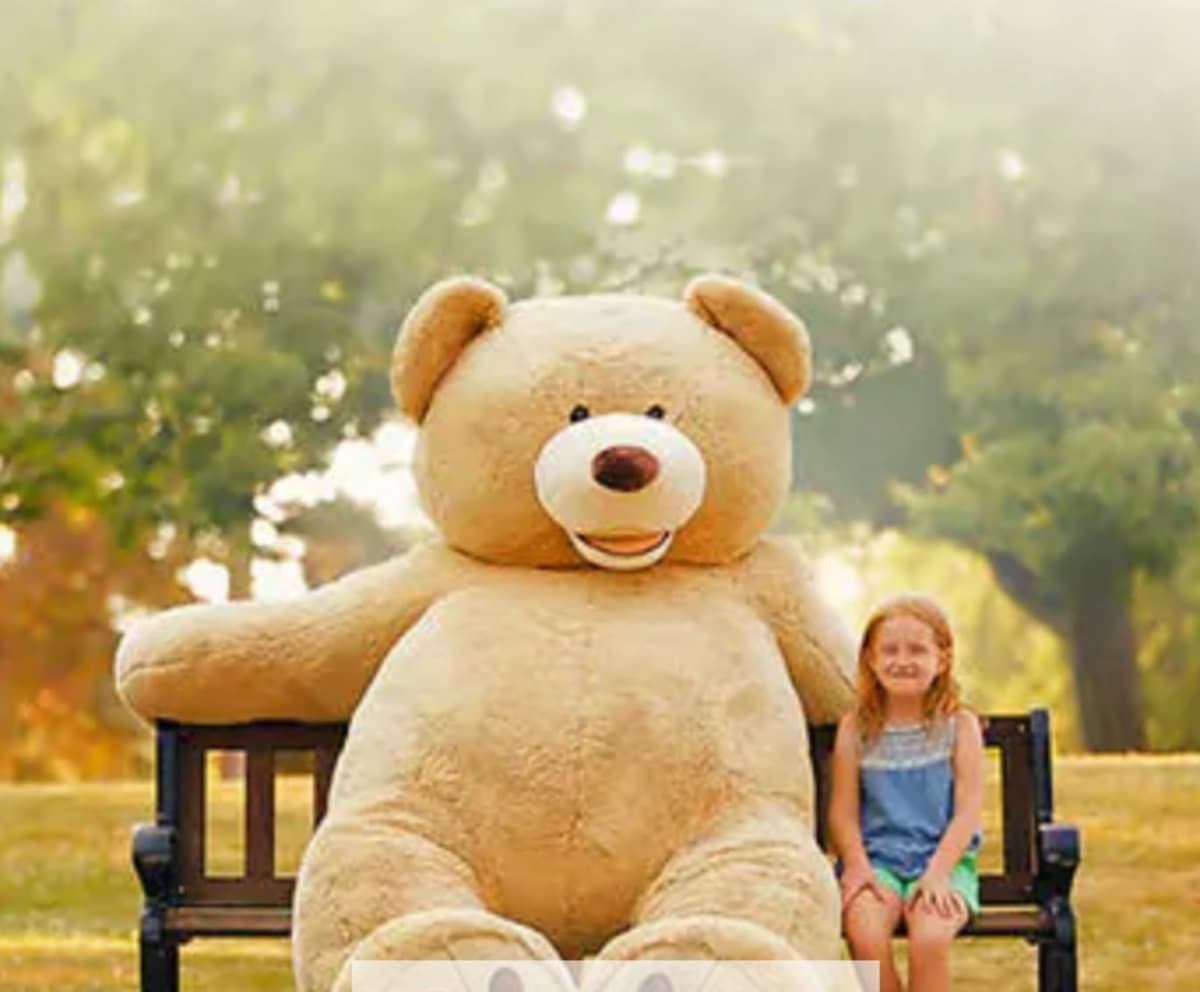 TEDDYBEARFOR401