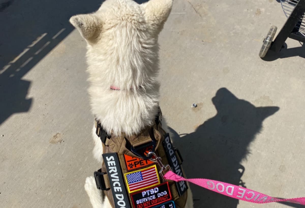 HelpMeGoUpToNDToGetMyBabies