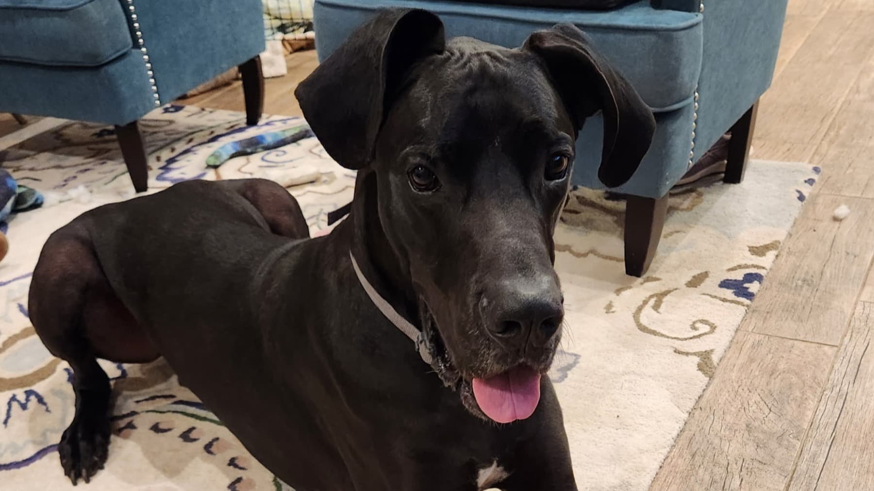 JoinTeamAxelAndHelpUsHealHim