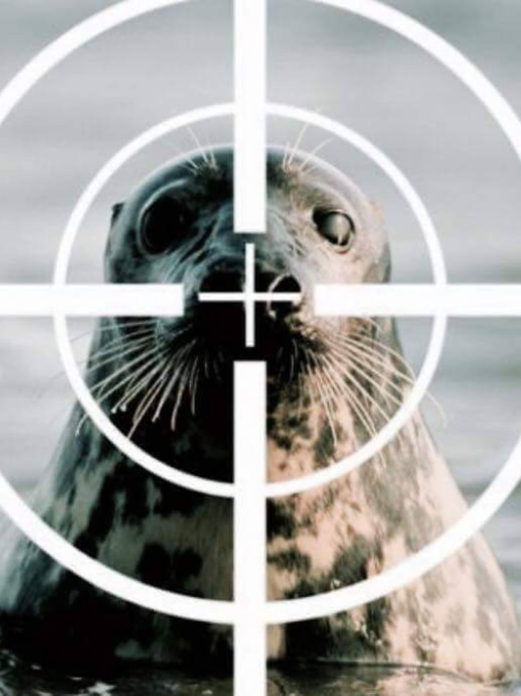 PacificBalanceMarineManagent
