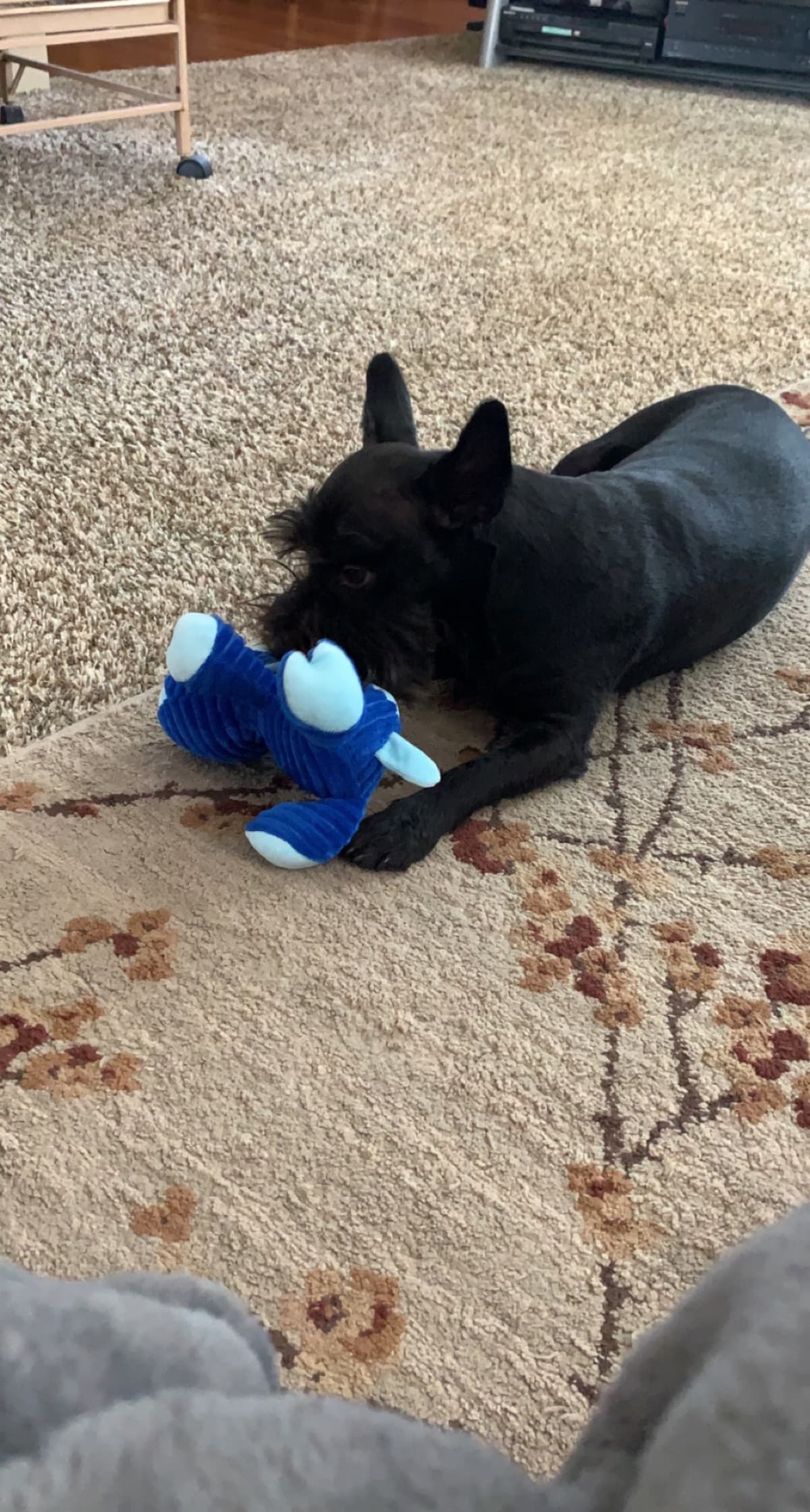 CharliesRescue