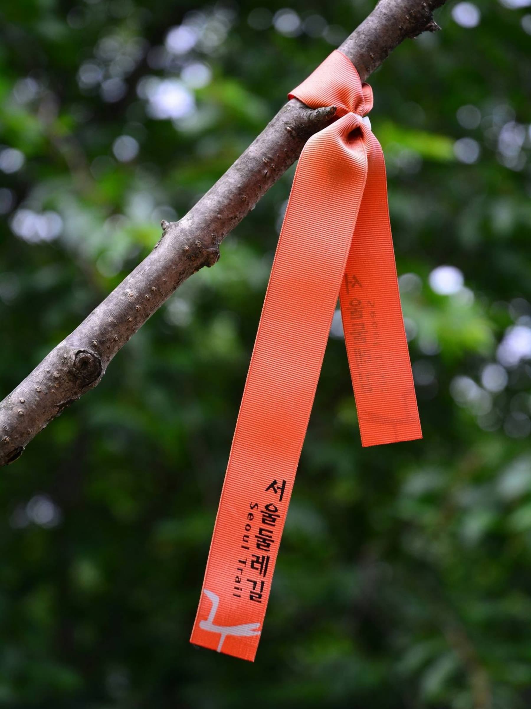 SupportMiltonCancerTreatm