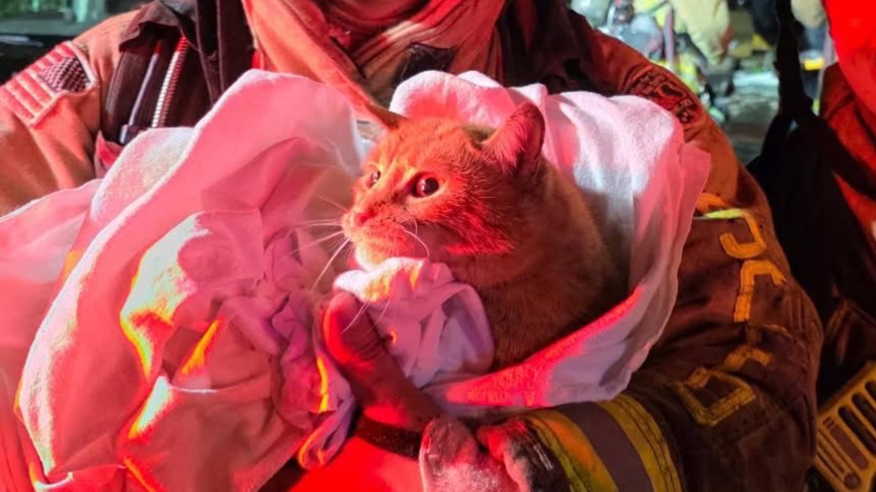 FireRecoveryFundForSandy