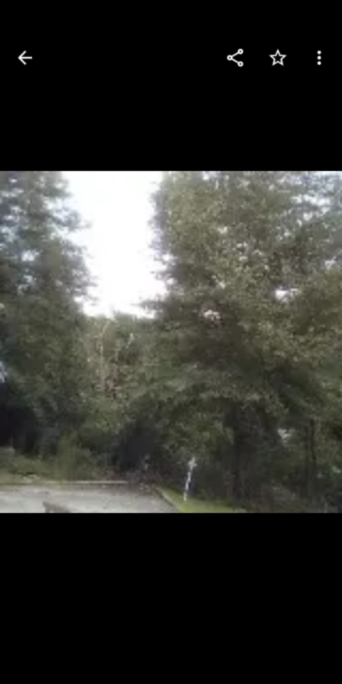 HireLandscapingCompany