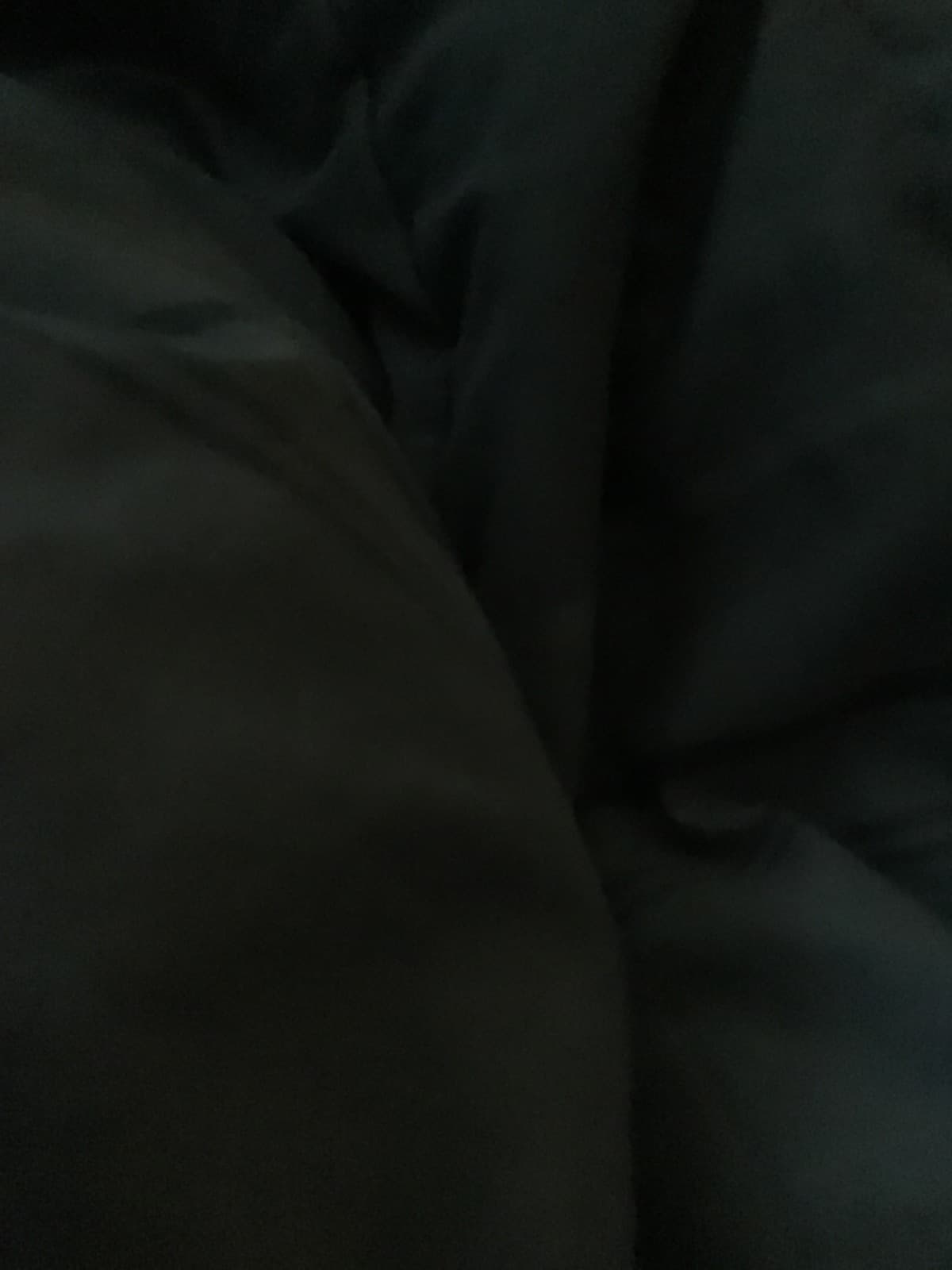 HelpOurFriendGetHerPhoneBack