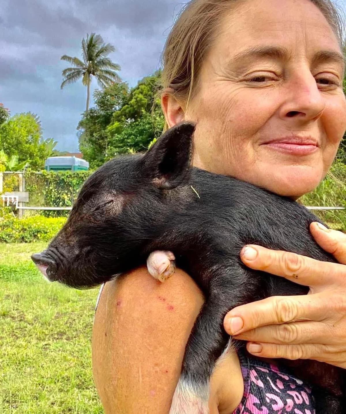 MedicalFundForAnimals