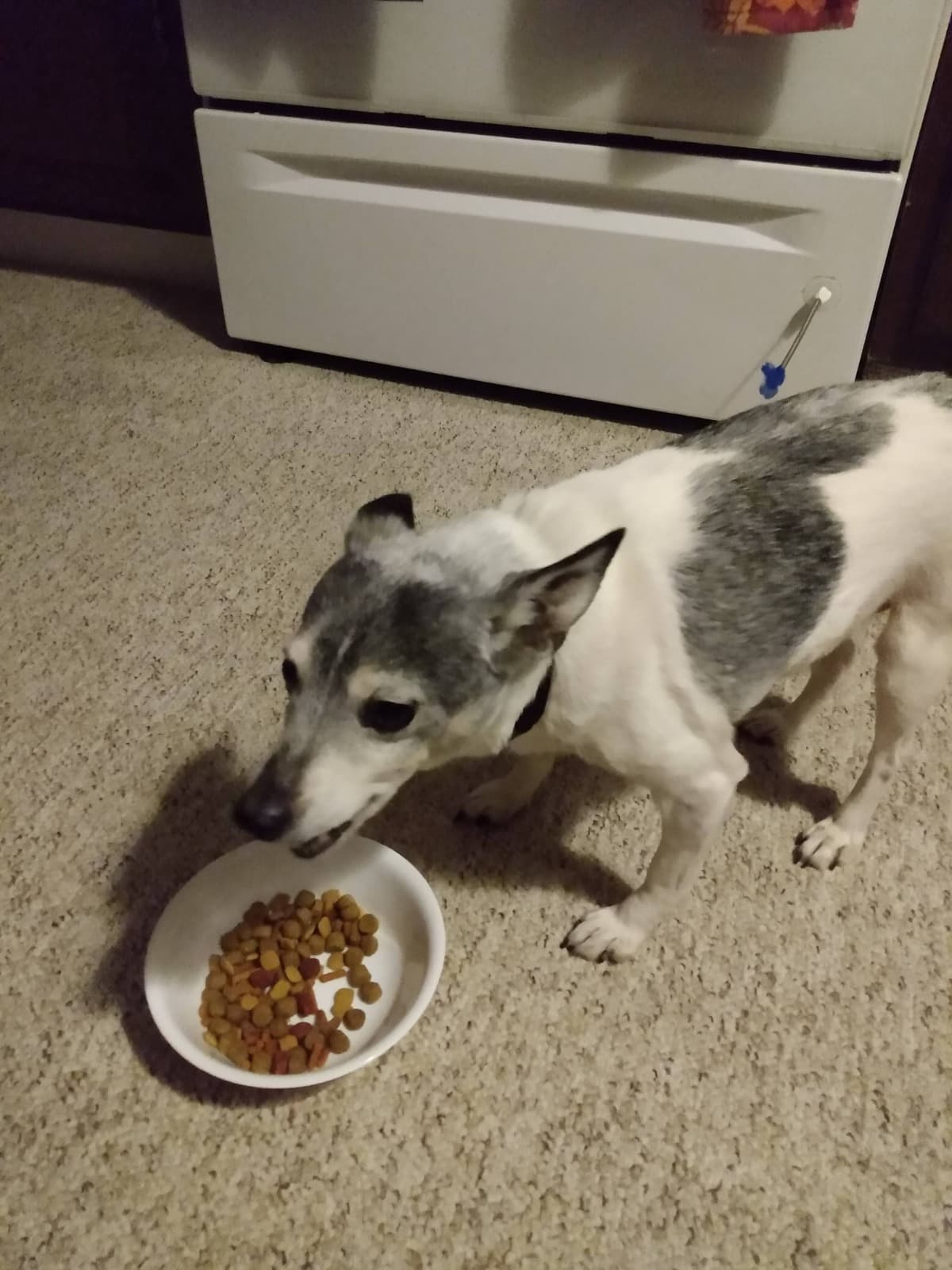 DempNeedsDentalSurgery