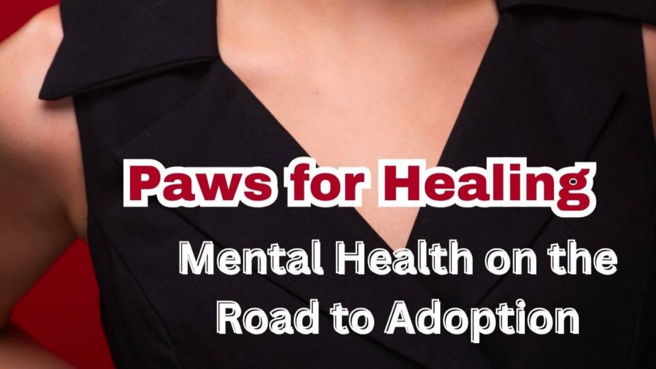 Paws For Healing: Mental Health On The Road To Adoption