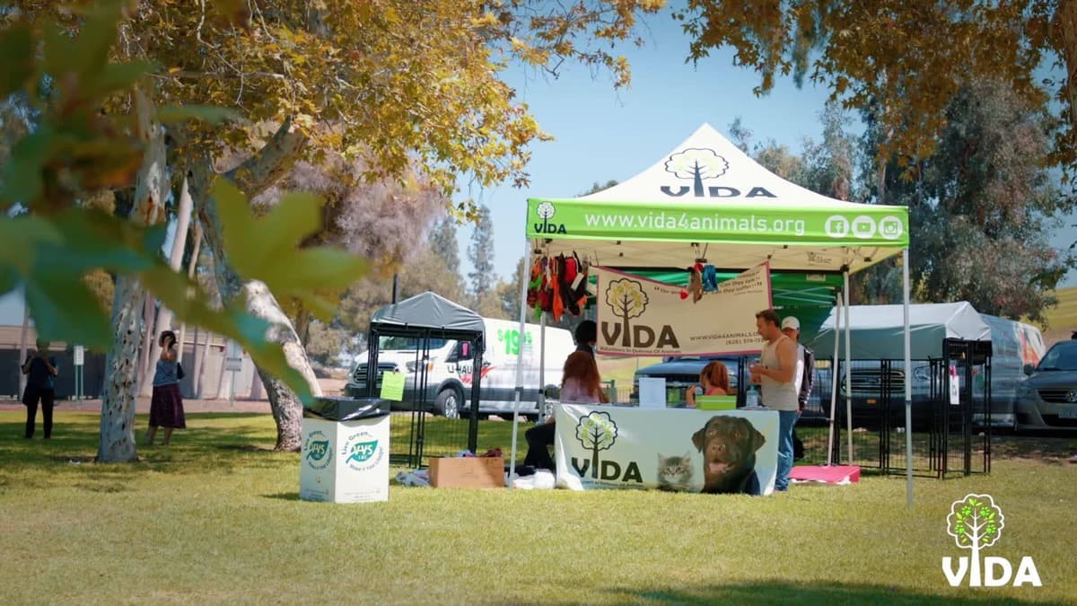 HelpKeepVIDARescueOpen
