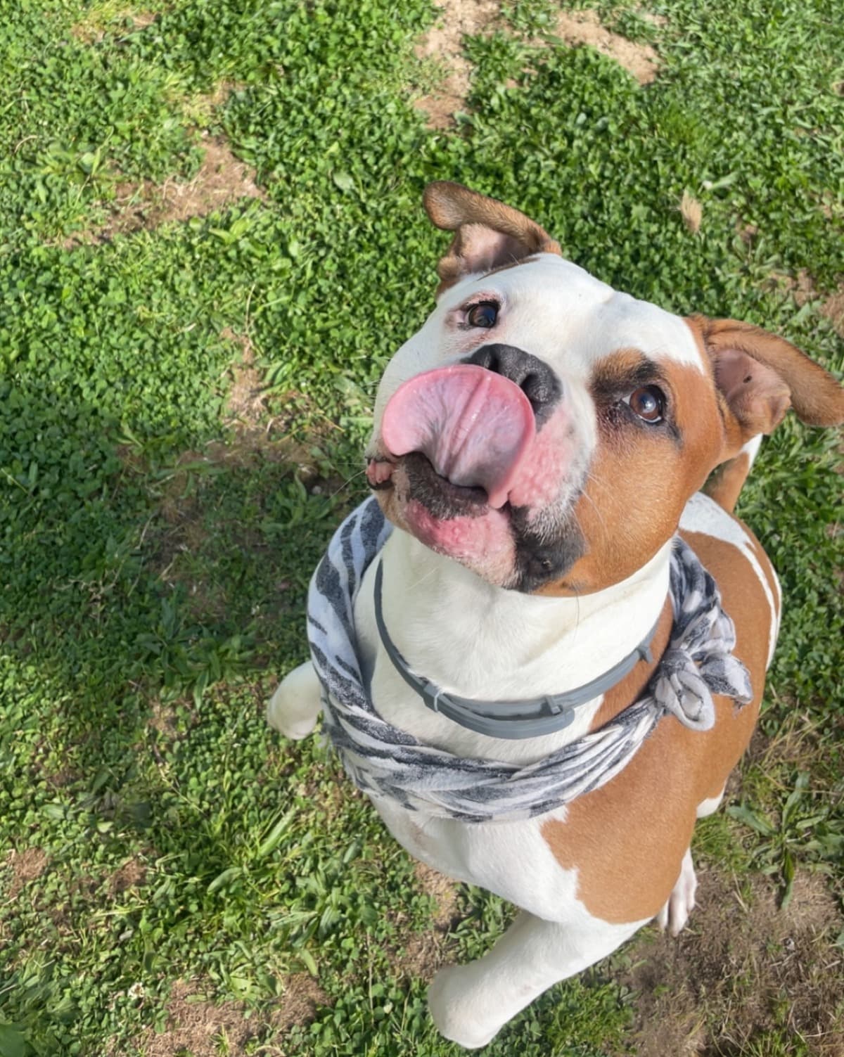 HelpRubbleBattleCancer