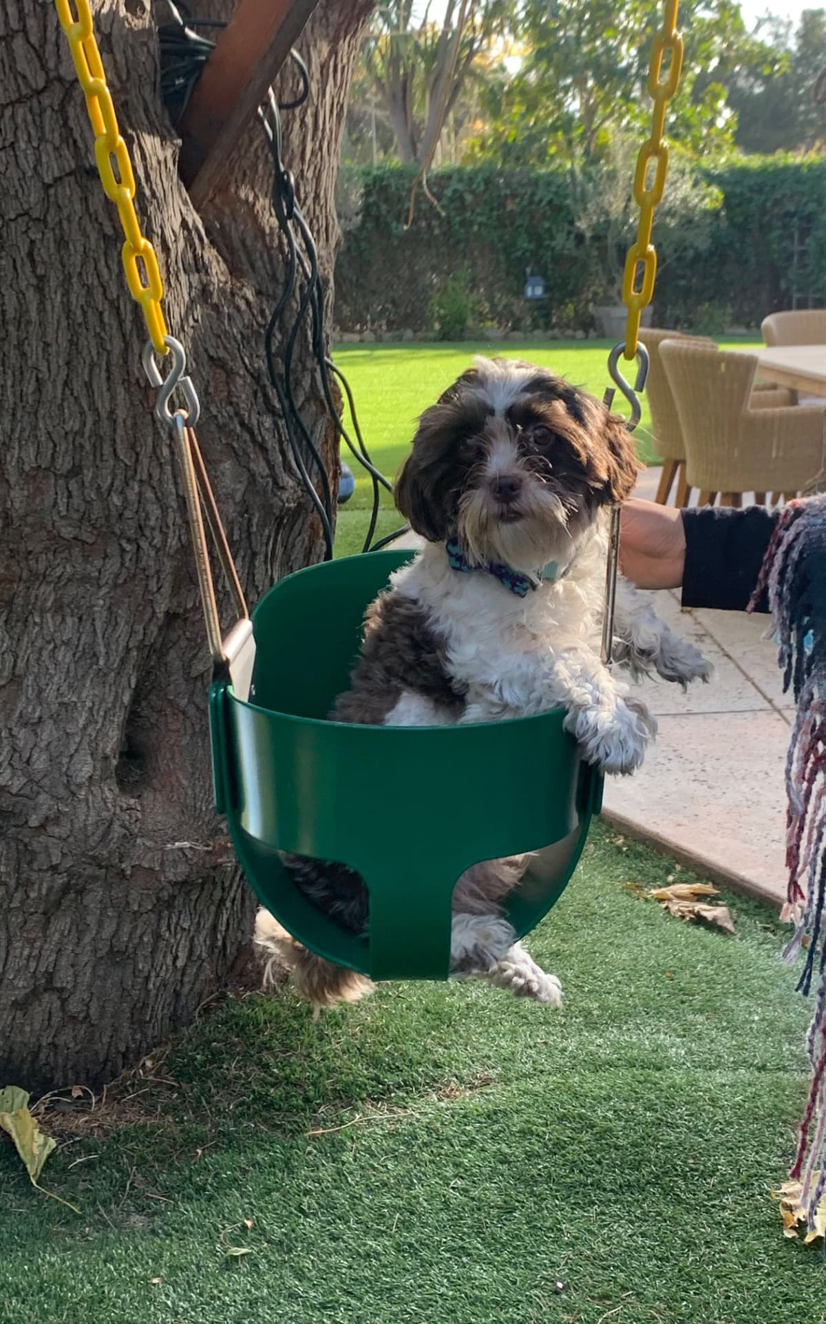 AFurryFriendNeedsYourHelp